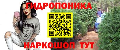 apvp Кунгур