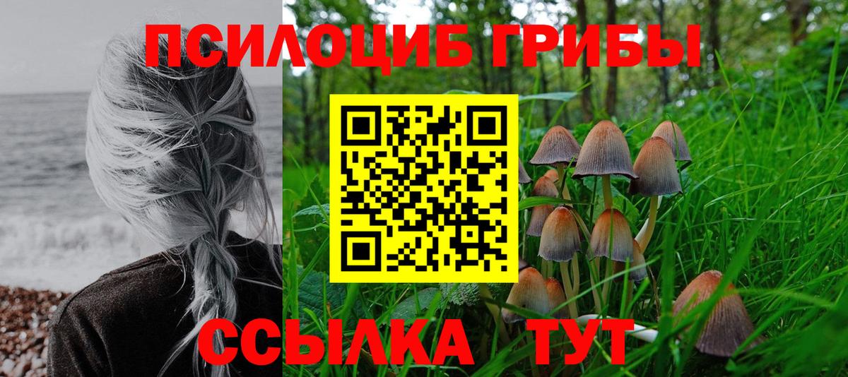 Галлюциногенные грибы MAGIC MUSHROOMS  Вход с VPN  Воркута 