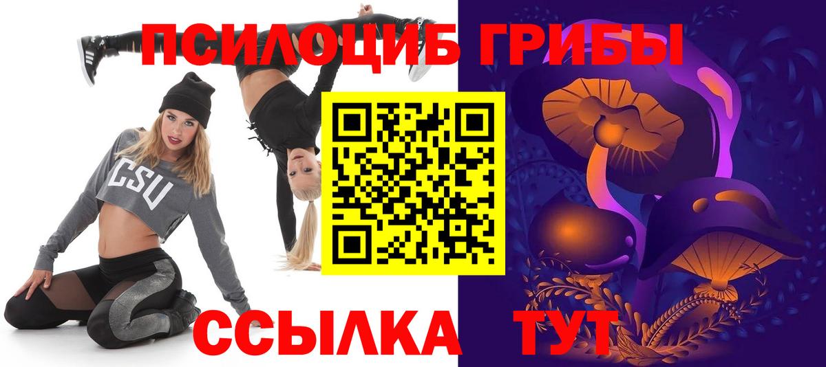Псилоцибиновые грибы мухоморы Воркута